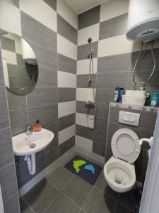 a bathroom with a toilet and a sink at Gazdinstvo Kraljevic in Kraljevići