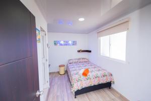 um quarto com uma cama e uma janela em Apartamentos Turísticos El Conquistador em San Andrés