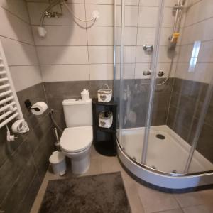 een badkamer met een toilet en een douche bij Apartmány Černý Tulipán 4 in Pilsen