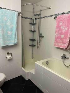 a bathroom with a shower and a tub and a toilet at Appartement Haute-Nendaz in Nendaz