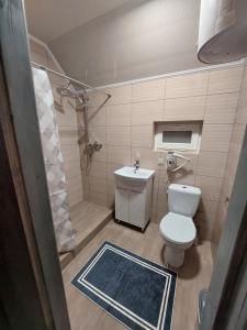 a bathroom with a toilet and a shower and a sink at Котедж у Ліску 2 in Vorokhta