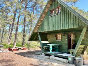 a green cabin with a picnic table in front of it at Merejuula Puhkemaja in Noarootsi