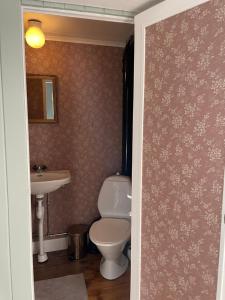 een badkamer met een toilet en een wastafel bij Bagarstugan in Kolbäck