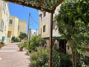 a brick walkway in front of a building with plants at Naxos Philoxenia in Naxos Chora