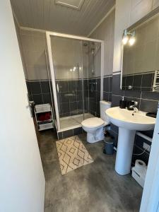 uma casa de banho com um lavatório, um WC e um chuveiro em appartement 