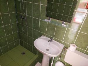 baño de azulejos verdes con lavabo y ducha en Pensiunea La Tavi en Murighiol