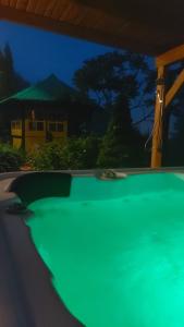 Pokoje gościnne u Galusia في Mochnaczka Wyżna: مسبح به ماء أخضر أمام المنزل