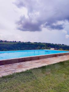 a large swimming pool in the middle of a field at Turistična kmetija HLEBEC in Kog