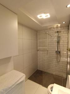 a bathroom with a shower and a toilet at Apartament Brzeg in Brzeg +20 photos