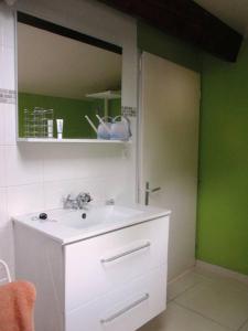 a bathroom with a white sink and a green wall at Cantegrel ch d'hôte à Lunel viel 5 personnes 3 jours minimum vérifier si possibilité d'arriver le samedi in Lunel-Viel