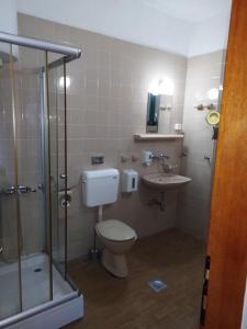 een badkamer met een toilet, een douche en een wastafel bij Studios Annie in Bijela
