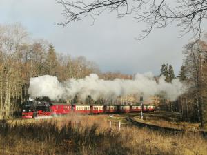 a red train with white steam coming down the tracks at gemütliche moderne Ferienwohnung inkl. WLAN in St Andreasberg/Braunlange in Sankt Andreasberg