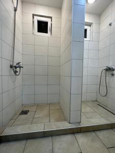 Pejovic apartmani Mojkovac 욕실