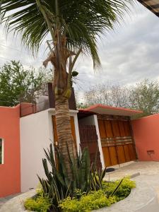 een palmboom voor een huis bij Casa Suites Minizoo in Puerto Escondido