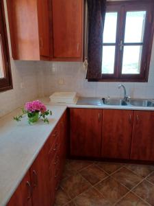 Fotografie z fotogalerie ubytování LALAROUS Studios & Apartments v destinaci Skyros