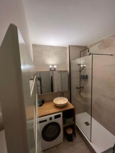 ein Badezimmer mit einem Waschbecken und einer Waschmaschine in der Unterkunft Le Granier en Chartreuse in Saint-Pierre-dʼEntremont