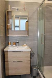 a bathroom with a sink and a shower at Chartres hyper centre bel appartement rénové in Chartres