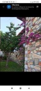 a picture of a stone wall with a tree and flowers at Villa Anna in Ayios Nikolaos Sithonia