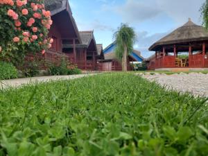 a house with a grass yard and a building at Pensiunea La Tavi in Murighiol