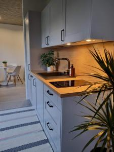 a kitchen with white cabinets and a sink at Pärnu Merimetsa Holiday Home in Pärnu