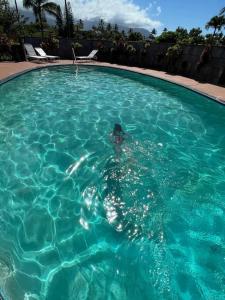 Kolam renang di atau dekat dengan Style and Comfort Over the Ocean