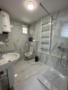 Pejovic apartmani Mojkovac 욕실