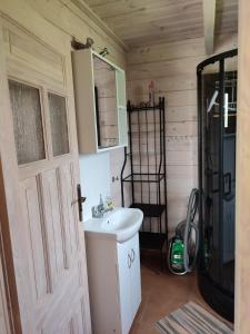 ein Bad mit einem Waschbecken, einer Dusche und einer Tür in der Unterkunft Domki na zaciszu w Rynie in Ryn
