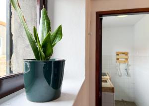 Koupelna v ubytování OV Apúlia + 36 fotografií