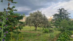 Zahrada ubytování Cocon du Papillon à Lourmarin