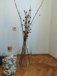 Zdjęcie z galerii obiektu Antemma Apartment w Puli