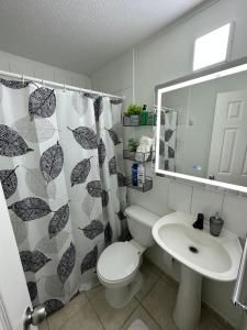 a bathroom with a toilet and a sink and a mirror at Casa con Jacuzzi in San Pedro de la Paz
