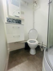 een kleine badkamer met een toilet en een douche bij studio cosy face à la gare in Lorient