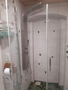 uma casa de banho com um chuveiro e uma porta de vidro em Familienfreundlich Wohnen im Miriquitdi Erzgebirge 