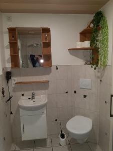 a bathroom with a toilet and a sink at Familienfreundlich Wohnen im Miriquitdi Erzgebirge 
