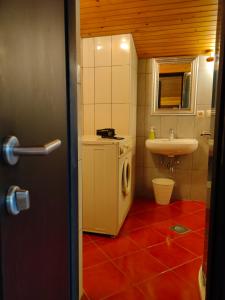 a small bathroom with a sink and a washing machine at Rooms and Apartment Na poljani in Škofja Loka