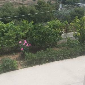 a garden with pink flowers and bushes at ARTemisia in Kranidi