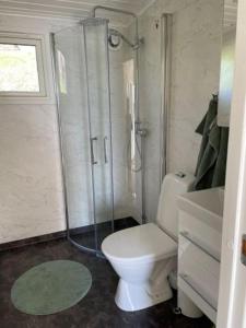 a small bathroom with a toilet and a shower at Sommarstuga med sjötomt och brygga in Hedemora