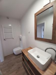 a bathroom with a sink and a toilet and a mirror at Apartamenty plażowe Władysławowo - Apartamenty Pomorskie in Władysławowo