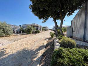 a tree on the side of a road at BUQEZ ECO RESORT - Beach Villas 2 and 8 - Seaview, new wifi! in Drage