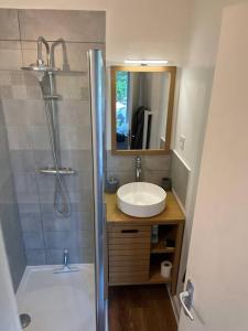 a bathroom with a sink and a shower at Chez Arthur in La Ferté-Saint-Aubin