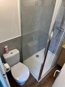 a small bathroom with a toilet and a shower at Chez Arthur in La Ferté-Saint-Aubin