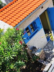 a house with a blue door and some plants at Apartments Lanterna Ražanac in Ražanac