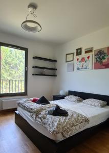 a bedroom with a large bed and a window at Casa del Svana Bratislava in Bratislava