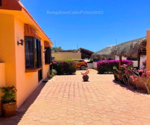 Zahrada ubytování Bungalows Cabo Pulmo