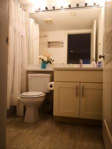 a bathroom with a toilet and a sink and a mirror at Coquitlam center, 2 bedroom suite, walking to skytrain in Port Coquitlam