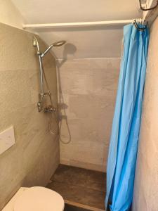 ein Bad mit einem WC und einem blauen Duschvorhang in der Unterkunft Appartamento 2 del Vecchio Convento in Orino