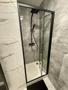 a shower with a glass door in a bathroom at Central Apartments Opava in Opava