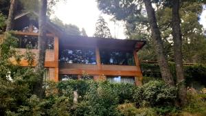 une maison dans les bois avec des arbres dans l'établissement Kaulemu, à San Carlos de Bariloche