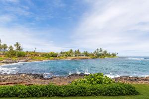 Φυσικό τοπίο κοντά σε αυτό το διαμέρισμα +18 φωτογραφίες