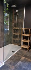 a shower with a glass door in a room at ESCAPE ZEN Oasis tropicale & Spa privatif in Loon-Plage +19 photos